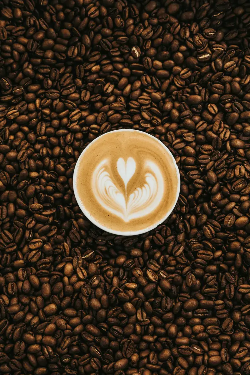 A café latte in a white cup with a rosetta poured in the microfoam