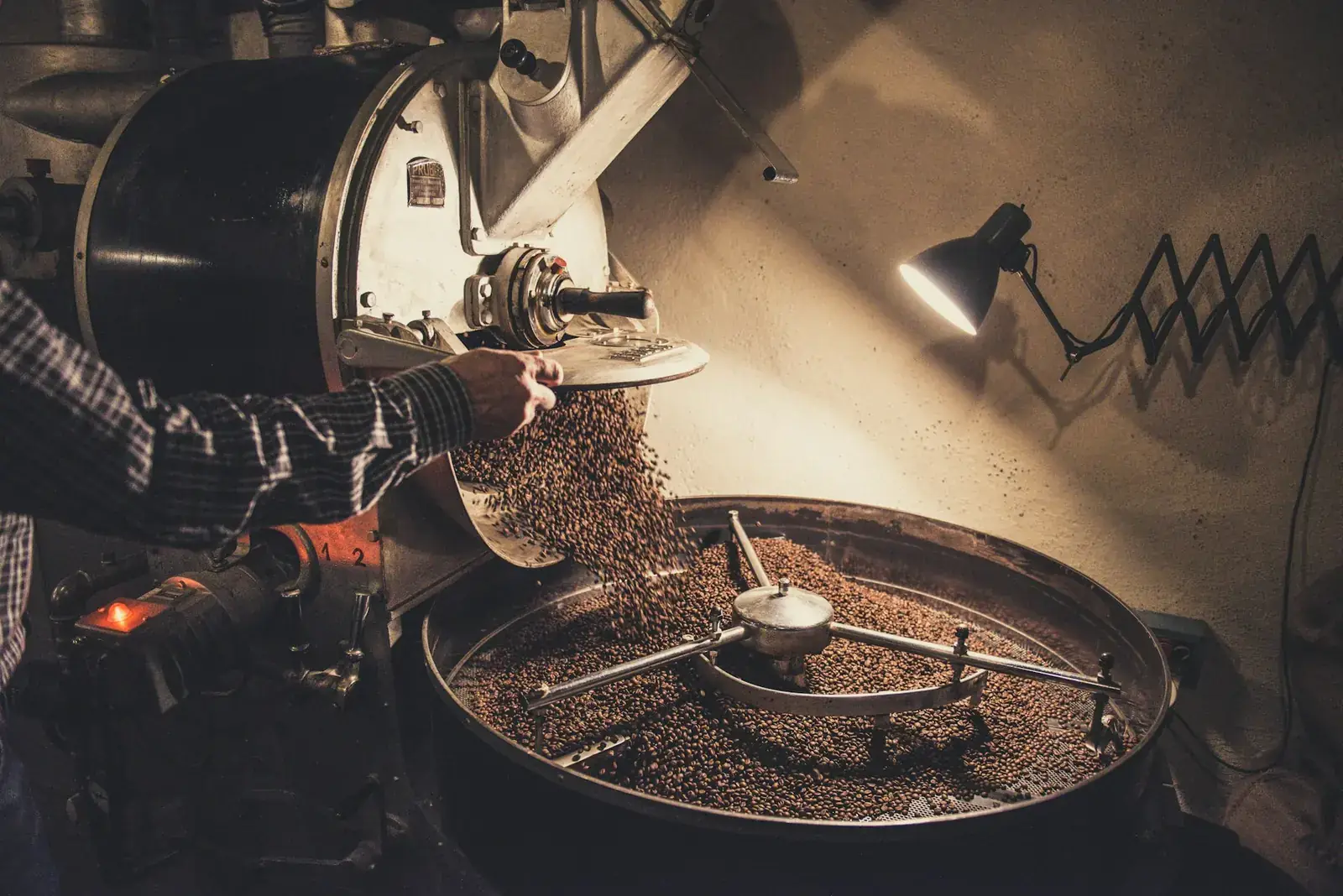 Green coffee beans being poured into a roasting drum
