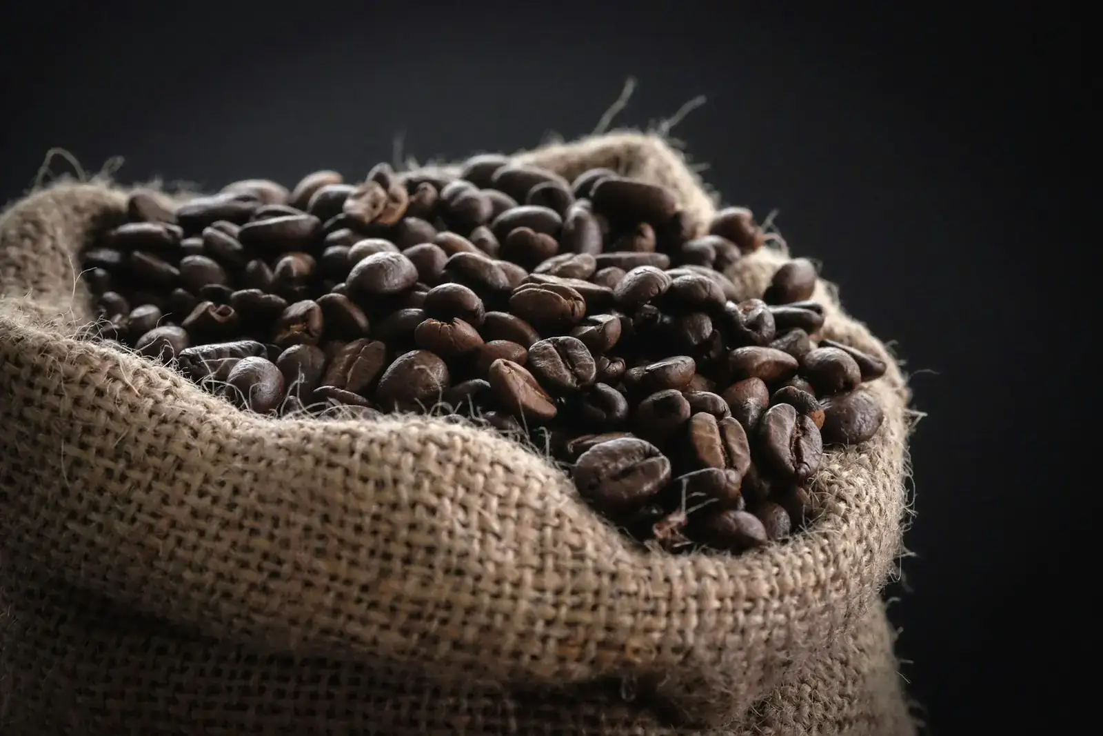 Sacks of green Chikkamagaluru coffee beans