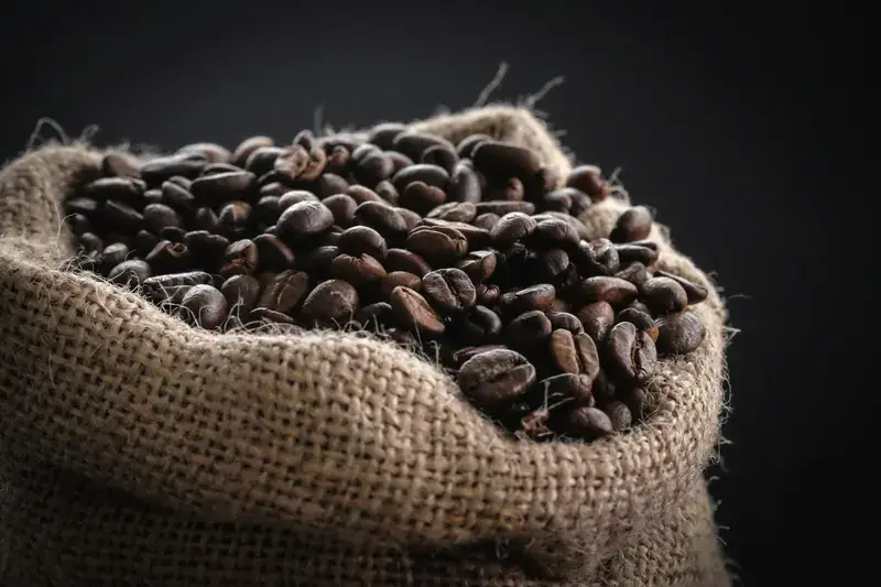 Green coffee beans in a burlap sack